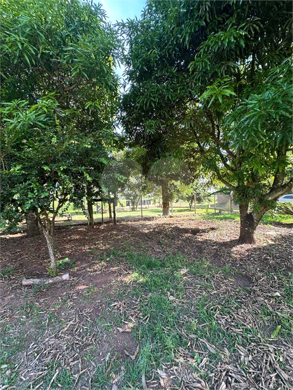 Chácara à venda em Jardim Universitário, Ponta Porã, MS