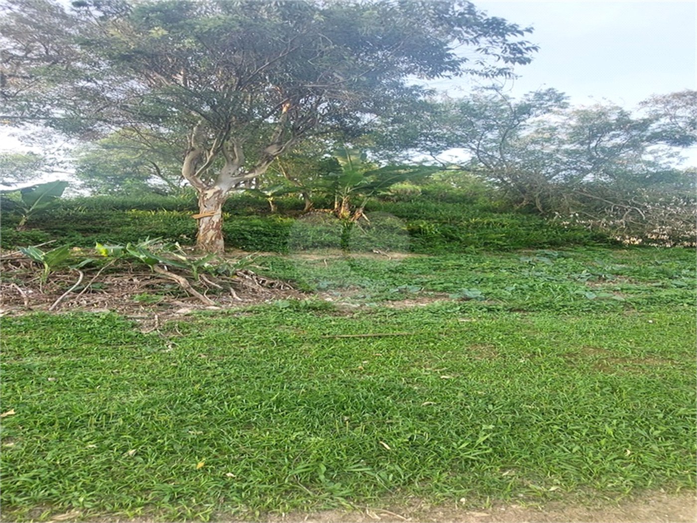 Terreno à venda no Centro, Mairiporã, SP