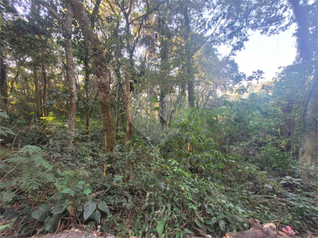 Terreno à venda em Serra da Cantareira, Mairiporã, SP