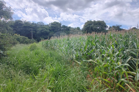 Terreno à venda em Ponte Alta, Atibaia, SP