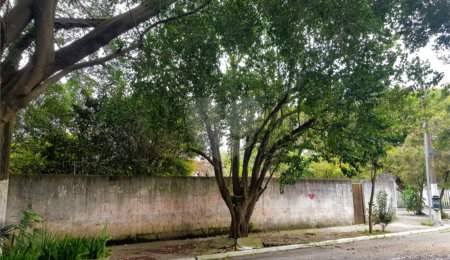 Terreno à venda em Jardim Campo Grande, São Paulo, SP