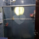 Sobrado à venda com 4 quartos em Freguesia do Ó, São Paulo, SP