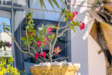 Casa à venda com 3 suítes no condomínio Jardim Residencial Dona Maria José, Indaiatuba - SP