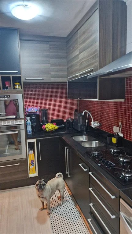 Casa à venda com 3 quartos, sendo 1 suíte, no condomínio Moradas do Horto, São Paulo - SP