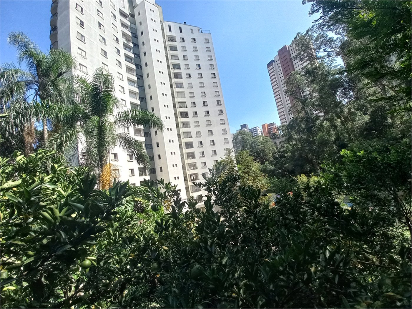 Apartamento à venda com 3 quartos, sendo 1 suíte, em Vila Andrade, São Paulo, SP