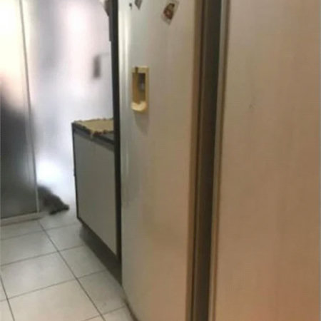 Apartamento à venda com 3 quartos, sendo 2 suítes,  em Jardim Arpoador, São Paulo, SP