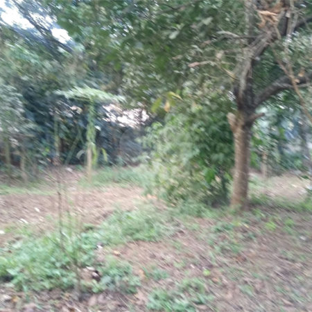 Terreno à venda no condomínio São Marcos, São Paulo - SP