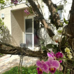 Casa à venda com 3 quartos, sendo 2 suítes, no condomínio Townhouse Village Morumbi, São Paulo - SP
