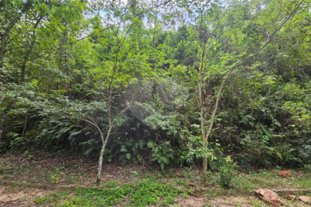 Terreno à venda em Chácara Recreio Lagoa dos Patos, Jundiaí, SP