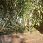 Casa à venda com 3 quartos, sendo 2 suítes, em Morumbi, São Paulo, SP