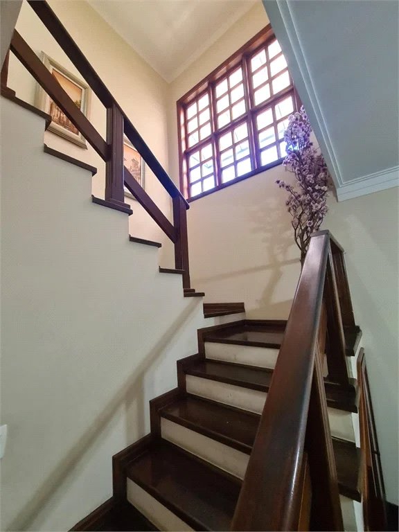 Casa à venda com 3 suítes em Jardim Bonfiglioli, São Paulo, SP