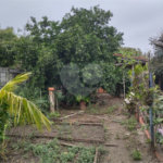 Casa Térrea à venda com 3 quartos em Vila Progresso, Porto Feliz, SP