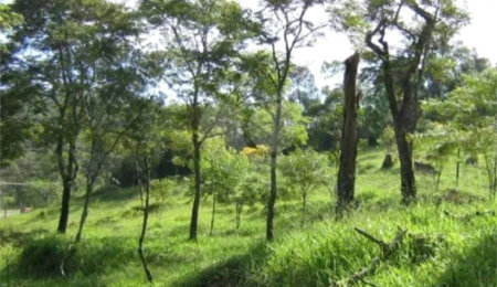 Área de Terra à venda em Alto da Serra (mailasqui), São Roque, SP