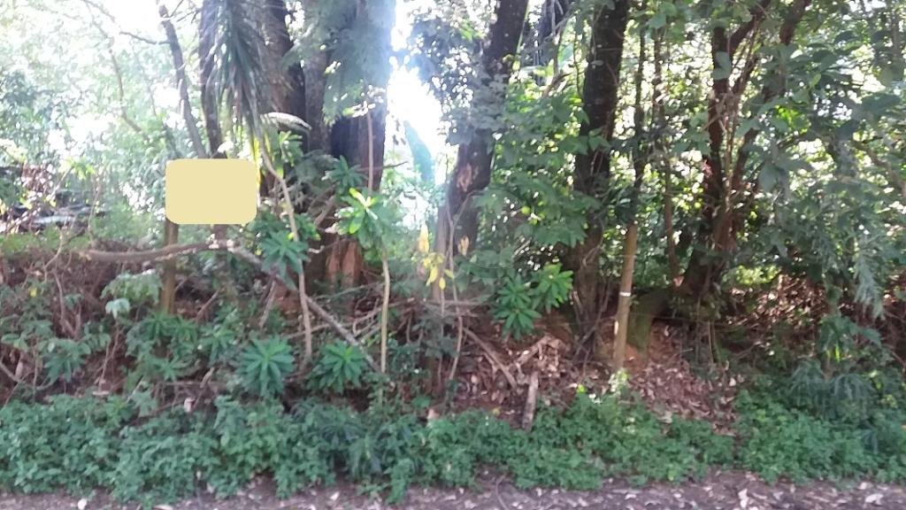 Terreno à venda em Tremembé, São Paulo, SP