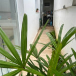 Sobrado à venda com 3 quartos, sendo 1 suíte, em Jardim Vazani, São Paulo, SP