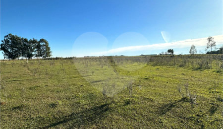 Terreno à venda em Sanga Puita, Ponta Porã, MS