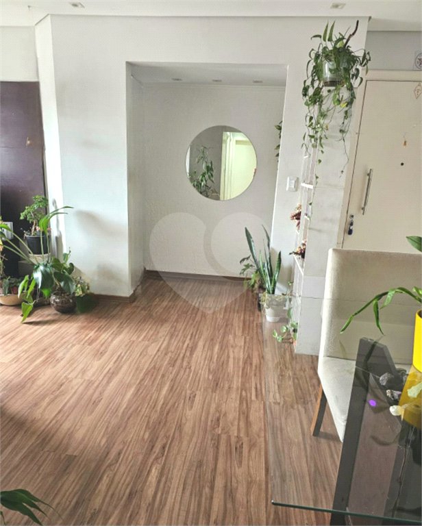 Apartamento à venda com 3 quartos, sendo 1 suíte, em Mandaqui, São Paulo, SP