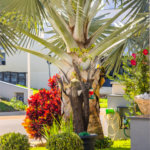 Casa à venda com 3 suítes no condomínio Jardim Residencial Dona Maria José, Indaiatuba - SP