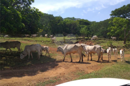 Sítio à venda com 2 quartos no Centro, Descalvado, SP