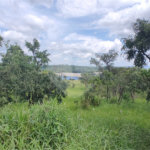 Terreno à venda em Ponte Alta, Atibaia, SP