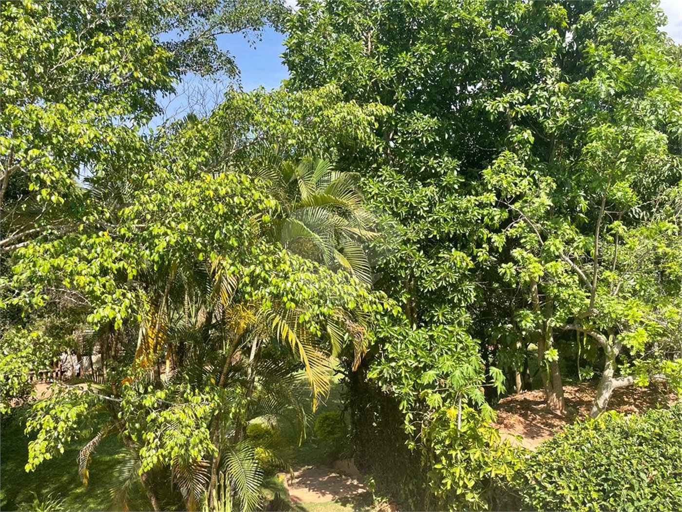 Chácara à venda com 3 quartos em Jardim Nova América, Louveira, SP