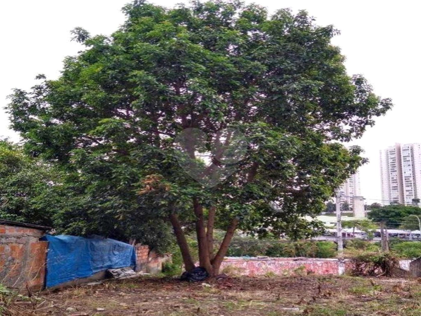 Terreno à venda em Jardim Cambara, São Paulo, SP