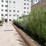 Apartamento à venda com 2 quartos em Vila Nova Cachoeirinha, São Paulo, SP