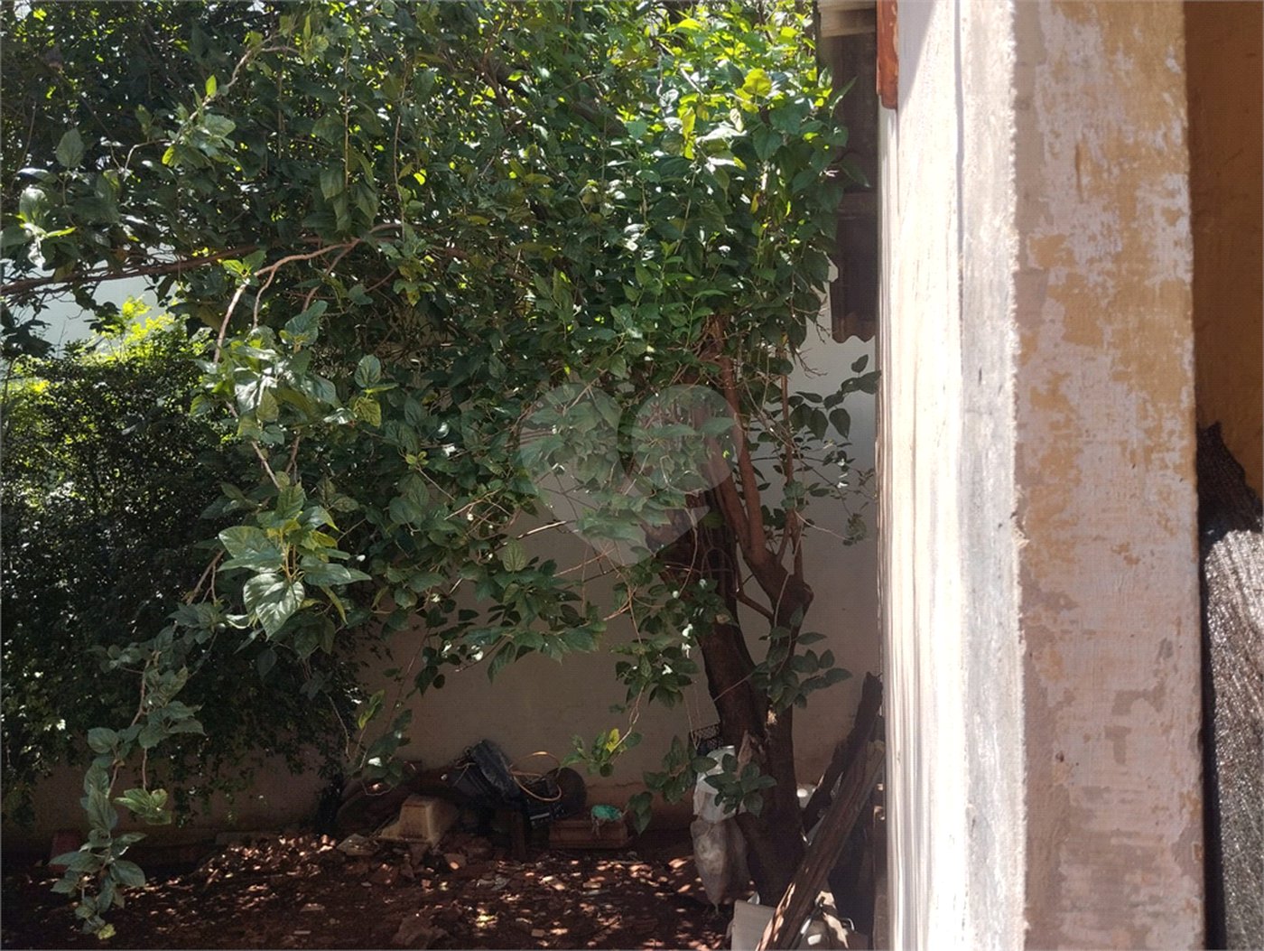 Casa à venda com 3 quartos em Jardim Santa Lúcia, Araraquara, SP