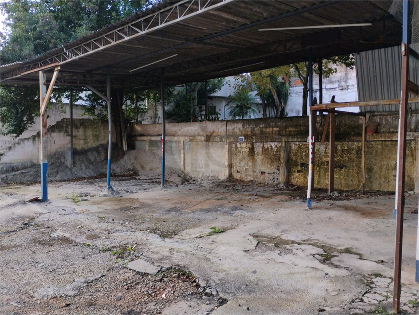 Terreno para alugar em Vila Santa Catarina, São Paulo, SP