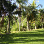 Chácara à venda com 4 suítes em Monte Alegre, Vinhedo, SP