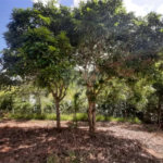 Chácara à venda com 2 quartos no Centro, Paraibuna, SP