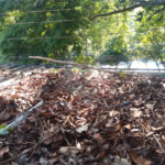 Sobrado à venda com 6 quartos em Jardim Imperial, São Paulo, SP