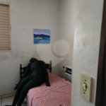 Casa à venda com 5 quartos em Jardim Ártico, Araraquara, SP