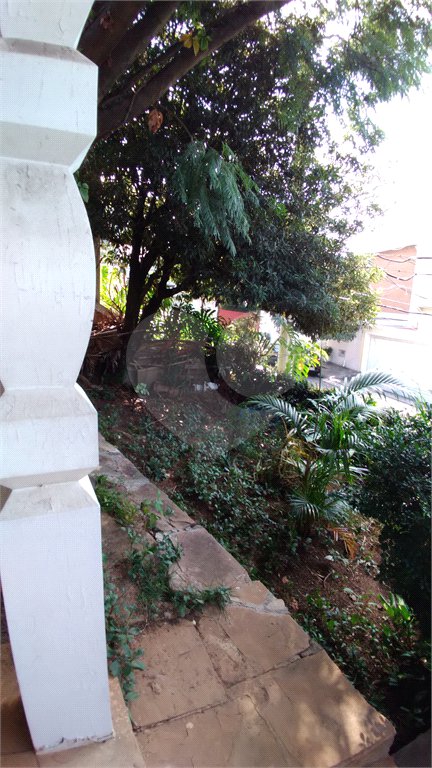 Casa à venda com 5 quartos, sendo 3 suítes, em Perdizes, São Paulo, SP