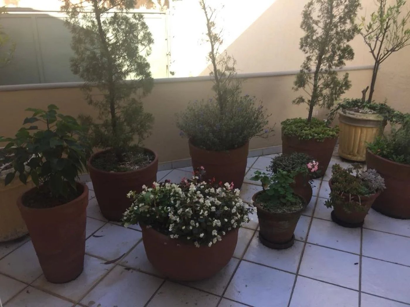 Casa à venda com 5 quartos, sendo 4 suítes, no condomínio Jardim Vitória Régia, São Paulo - SP