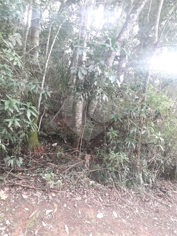 Terreno à venda em Suasalito, Mairiporã, SP