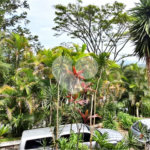 Casa à venda com 6 quartos, sendo 3 suítes, em Serra da Cantareira, Mairiporã, SP