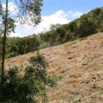 Terreno à venda em Gabriel Piza, São Roque, SP
