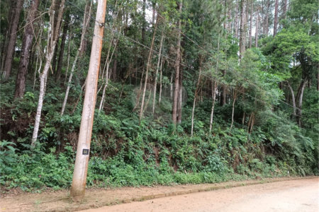 Terreno à venda no Centro (mailasqui), São Roque, SP