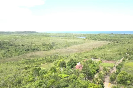 Fazenda à venda com 5 quartos, sendo 1 suíte,  em Santo André, Santa Cruz Cabrália, BA