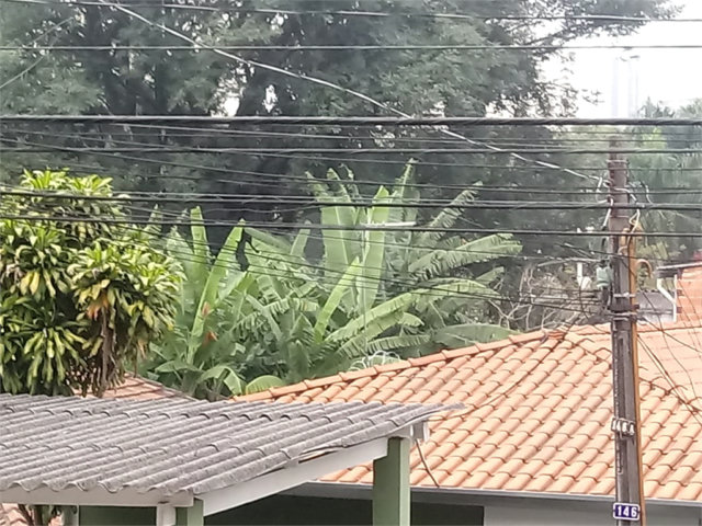 Terreno à venda em Mandaqui, São Paulo, SP