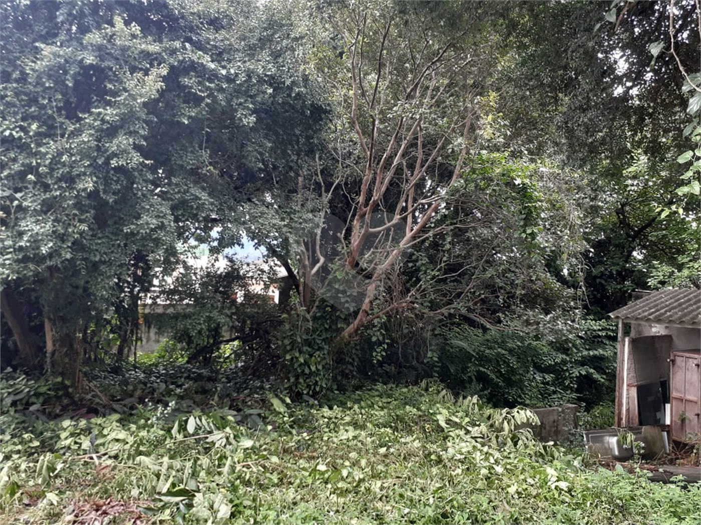 Terreno à venda em Vila Mazzei, São Paulo, SP