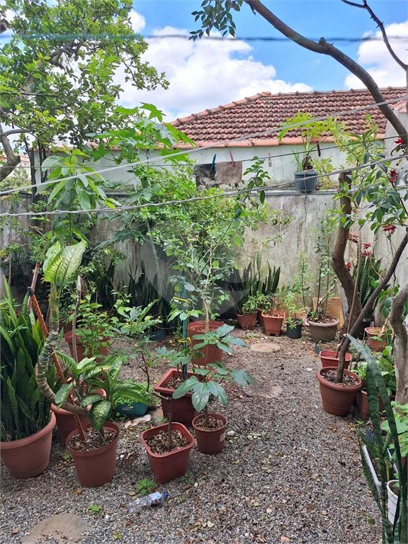 Sobrado à venda com 3 quartos, sendo 1 suíte, em Vila Irmãos Arnoni, São Paulo, SP