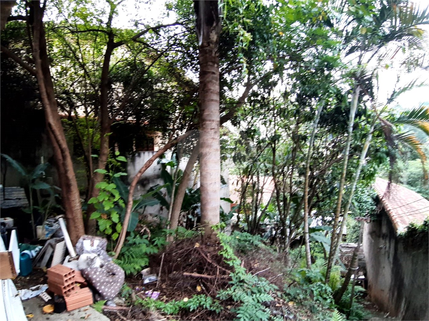 Terreno à venda em Tucuruvi, São Paulo, SP