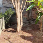 Terreno à venda em Vila Gustavo, São Paulo, SP