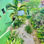Casa com 3 dormitórios à venda, 122 m² por R$ 1.100.000,00 - Toninhas - Ubatuba/SP