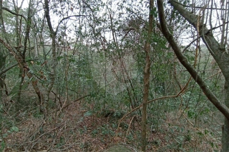 Terreno à venda em Chácaras Alpina, Valinhos, SP