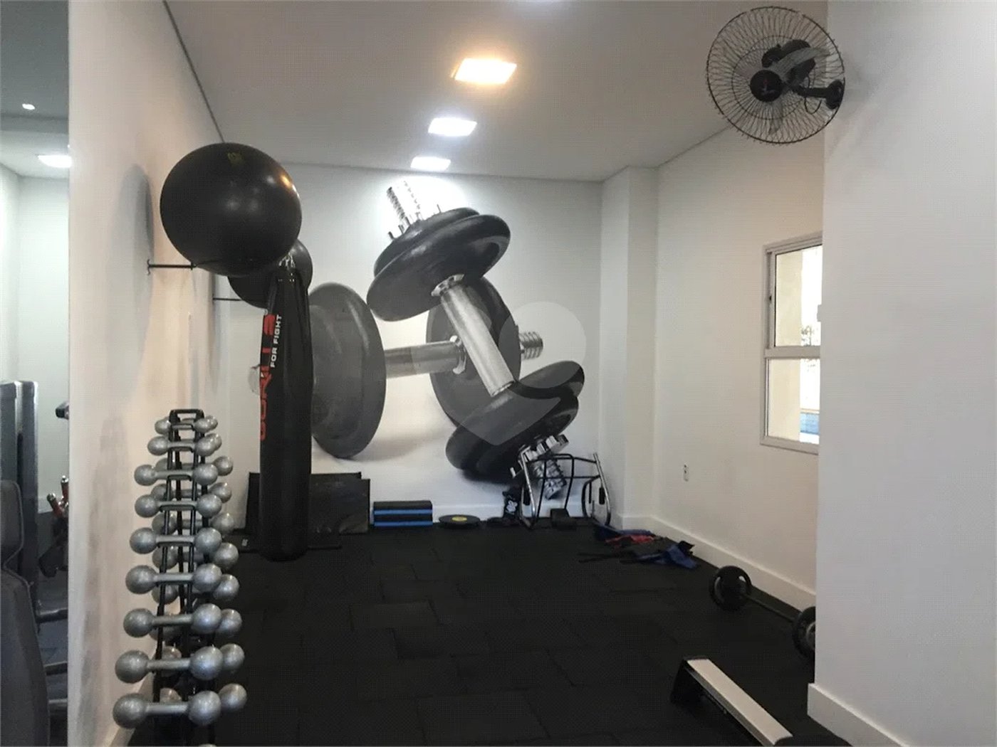 Apartamento de 53m2 na Vila Mascote
