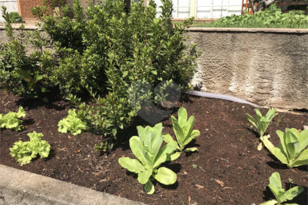 Sobrado à venda com 5 quartos, sendo 1 suíte, em Jardim São Bento, São Paulo, SP