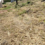Terreno à venda no condomínio Recanto das Palmeiras, Jundiaí - SP